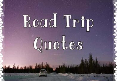 50+Road Trip Quotes to Inspire Your Next Adventure | Short Inspirational Travel Caption and Quotes
