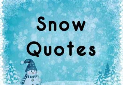 Best Snow Quotes | Short Quotes about Winter Mountain Snowflake | First Snowfall Quotes